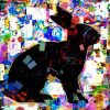 Abstract Rabbit Juergen Faelchle paint by numbers