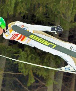 Ski Jump paint by numbers