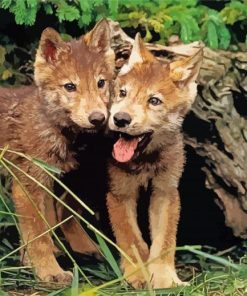Brown Wolf Pups paint by numbers