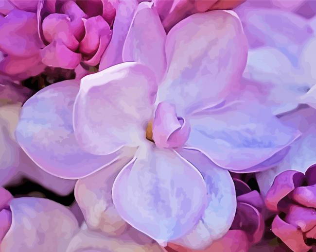 French Lilac Flower paint by numbers