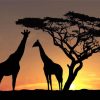 Giraffe Silhouette African Landscape paint by numbers