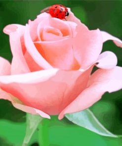 Ladybug On A Rose paint by numbers