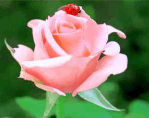 Ladybug On A Rose paint by numbers