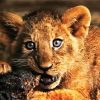 Lion Cub Animal paint by numbers