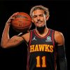 The Basketballer Trae Young paint by numbers