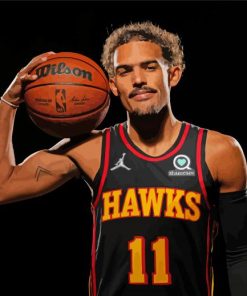 The Basketballer Trae Young paint by numbers
