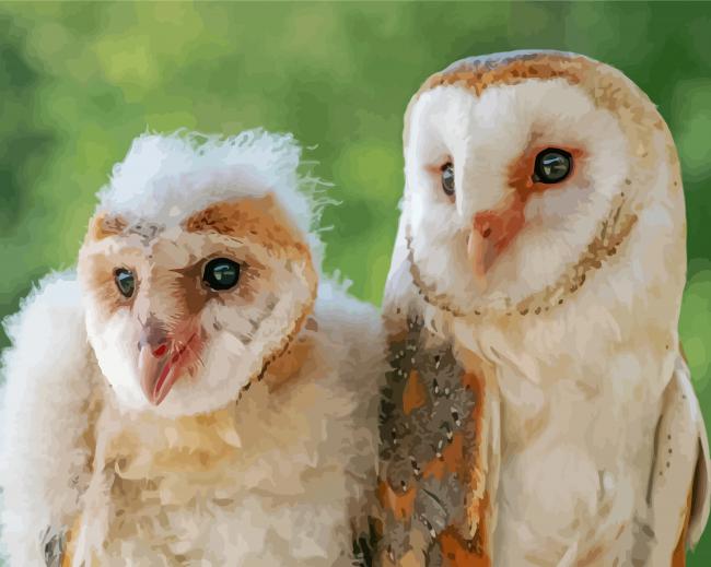 White Couple Owl paint by numbers