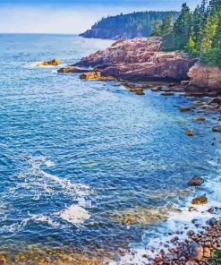 Acadia National Park Bar Harbor paint by numbers