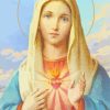 Blessed Mother paint by numbers