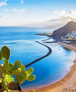 Canary Islands Beach paint by numbers