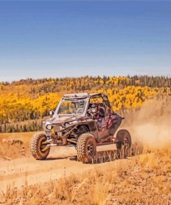 Cool Rzr Car paint by numbers