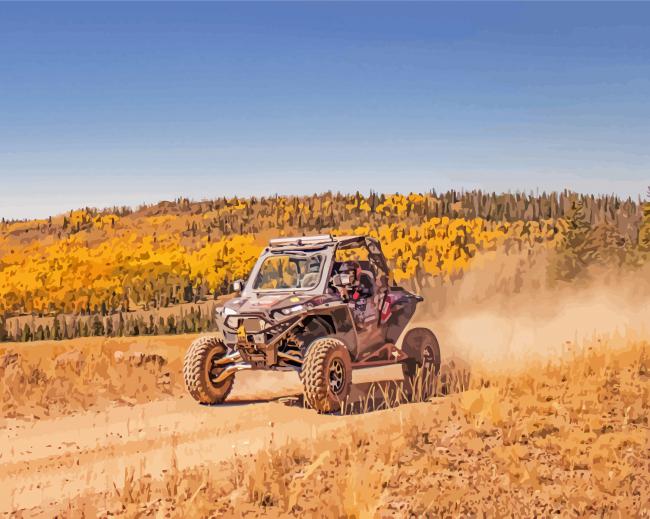 Cool Rzr Car paint by numbers