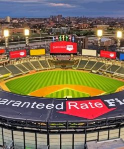 Guaranteed Rate Field paint by numbers