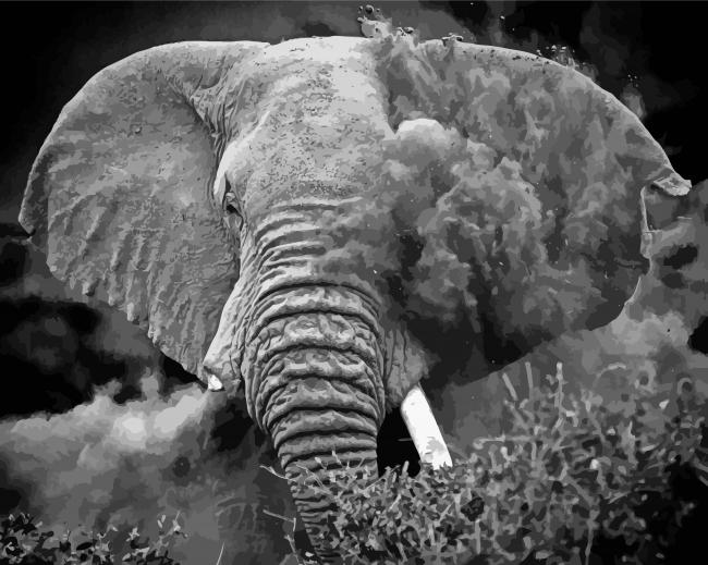Monochrome Elephant Dust paint by numbers