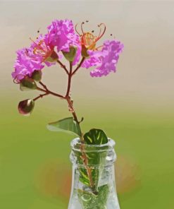 Pink Flower In Bottle paint by numbers
