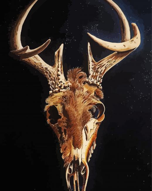 Aesthetic Deer Skulls paint by numbers