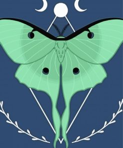 Luna Moth paint by numbers