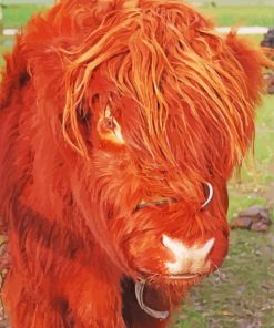 Cute Harry Cow paint by numbers