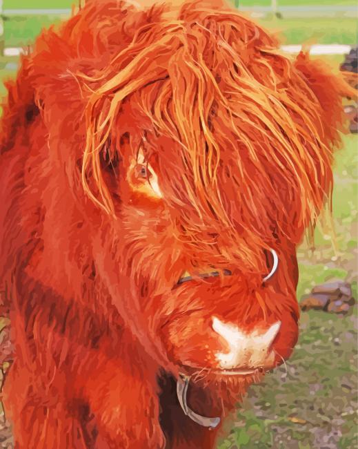 Cute Harry Cow paint by numbers