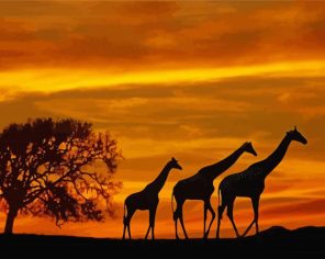 Giraffes Animals Sunset paint by numbers