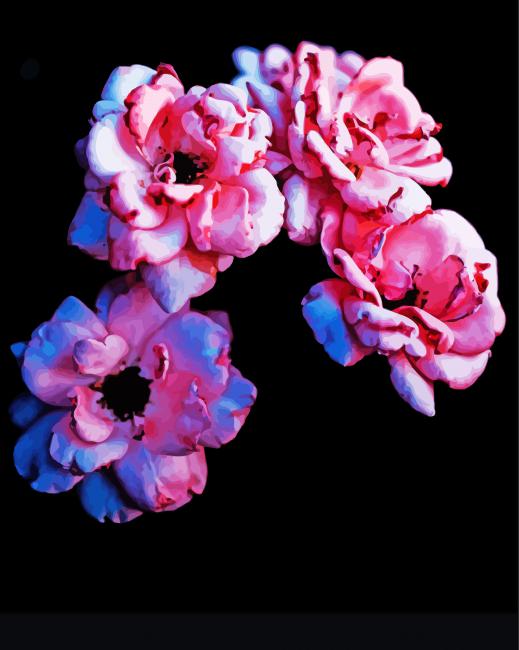 Pink Flowers With Black Background paint by numbers