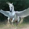 White Mythical Horse Paint By Numbers