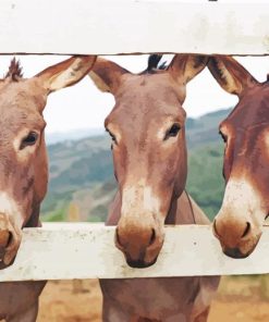 Trio Donkeys On Fence Paint By Number