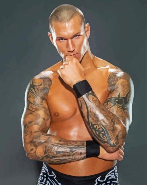 WWE Randy Orton Paint By Number