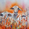 Abstract Sheep Paint By Number