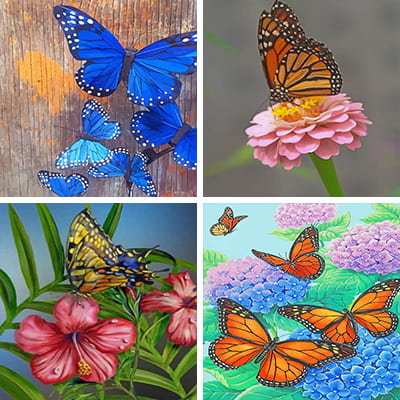 Butterflies painting by numbers 