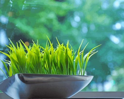 Decorative Wheatgrass Paint By Number