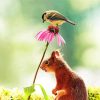 Tit And Red Squirrel On Flower Paint By Number