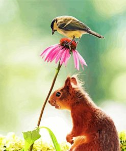 Tit And Red Squirrel On Flower Paint By Number