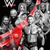 Wwe Poster Paint By Number