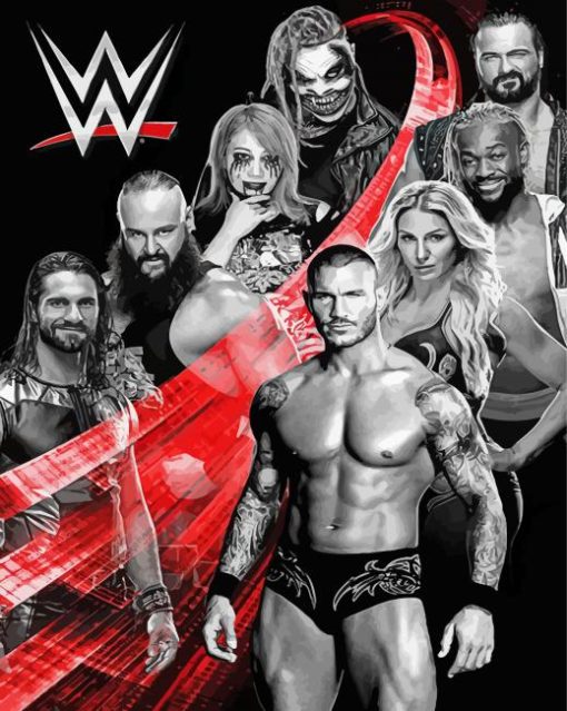Wwe Poster Paint By Number