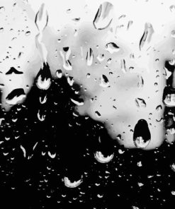 Black And White Rain Paint By Number