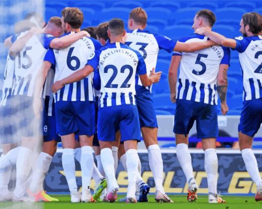 Brighton And Hove Albion Team Paint By Number