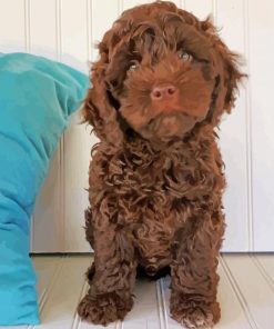 Chocolate Cockapoo Dog Paint By Number