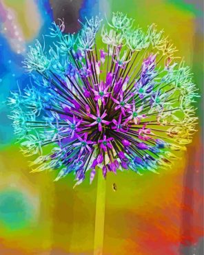 Colorful Allium Plant Paint By Number