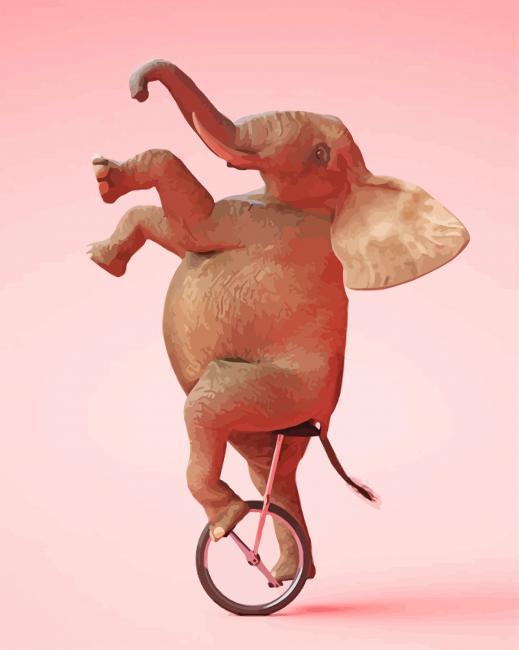 Cool Elephant On A Unicycle Paint By Number
