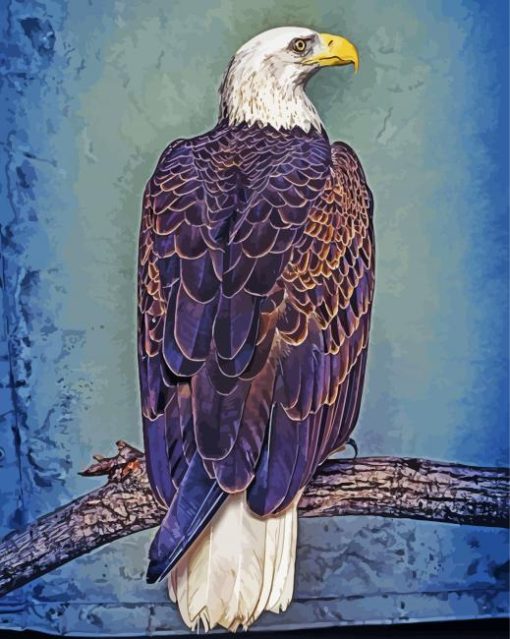 Eagle On A Branch Tree Paint By Number