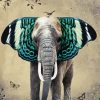 Elephant Butterfly Paint By Number