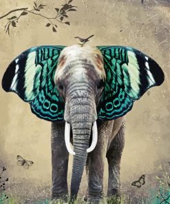 Elephant Butterfly Paint By Number