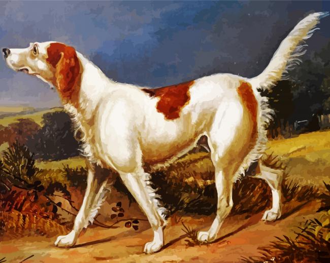 Irish Red White Setter Dog Paint By Number