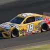 Kyle Busch Nascar Car Paint By Number