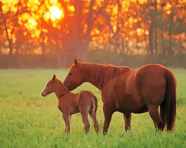 Quarter Horse And Her Baby Paint By Number