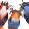 Silly Horses Art Paint By Number