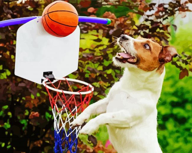 Sport Dog Playing Basketball Paint By Number