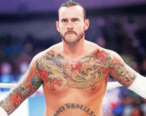 The Wrestler Cm Punk Paint By Number