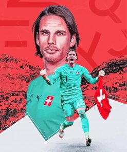 Yann Sommer Poster Paint By Number